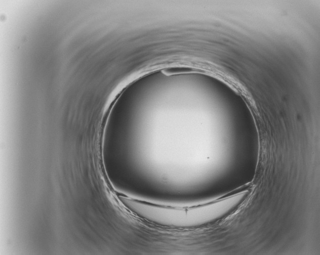 X0000087401530200705042023