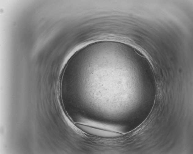 X0000087401531200705042023