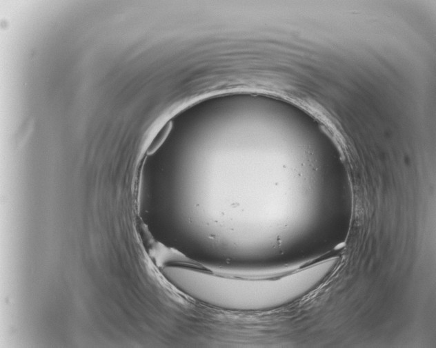 X0000087401532200705042023