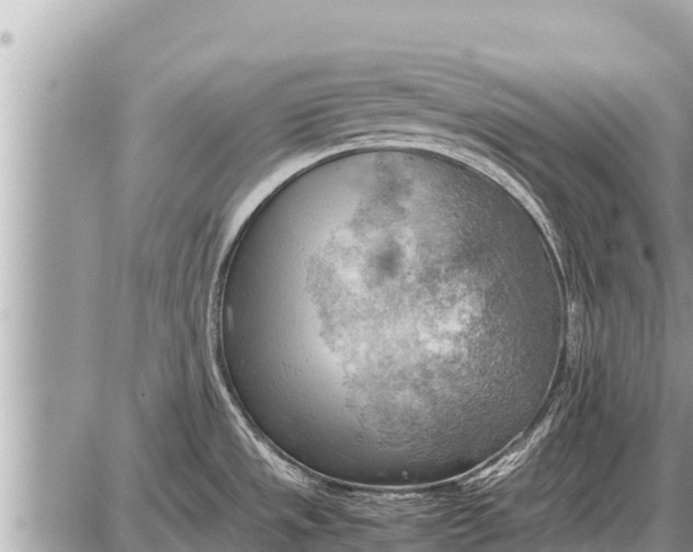 X0000087401533200705042023