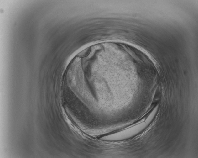 X0000087401534200705042023