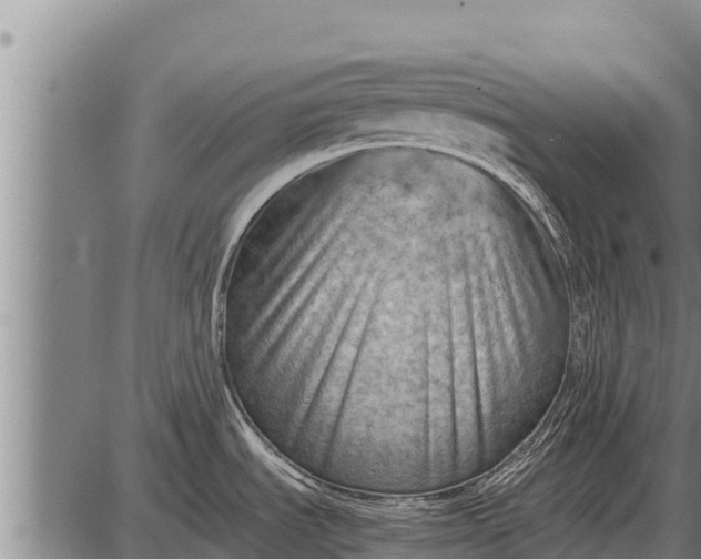 X0000087401535200705042023