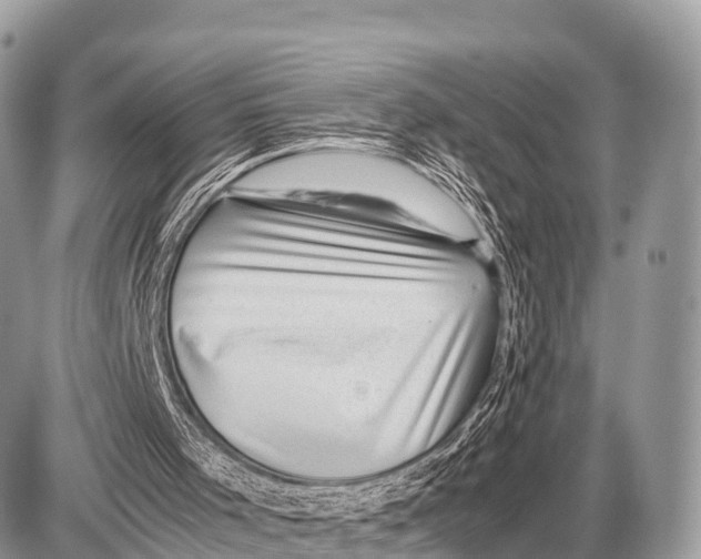 X0000087400001200705111837