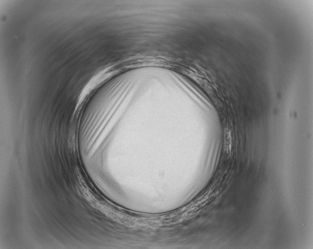 X0000087400004200705111837