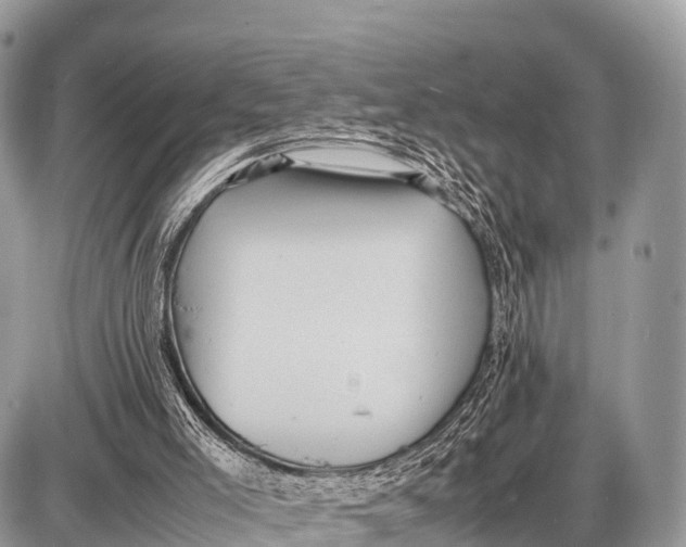 X0000087400005200705111837