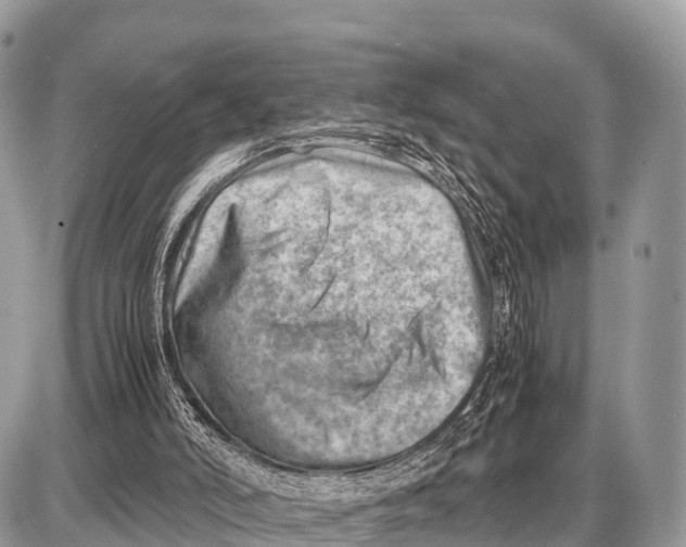 X0000087400006200705111837