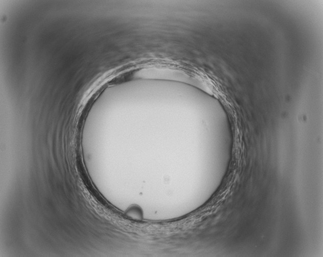 X0000087400007200705111837