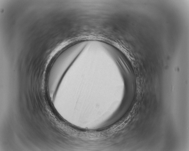 X0000087400008200705111837