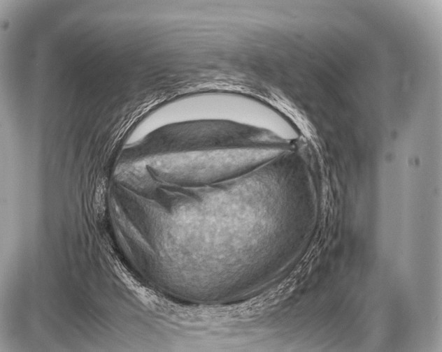 X0000087400009200705111837