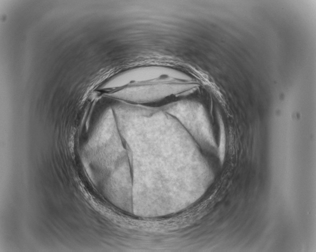 X0000087400010200705111837