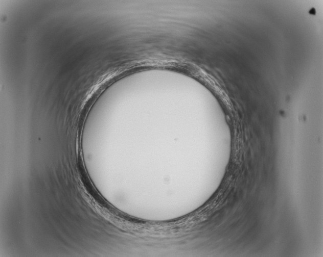 X0000087400011200705111837