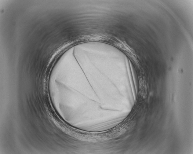 X0000087400012200705111837