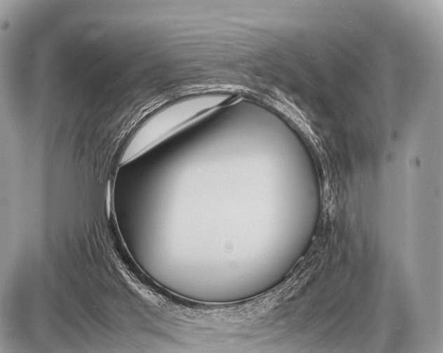 X0000087400013200705111837