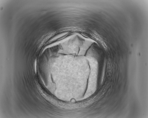 X0000087400014200705111837