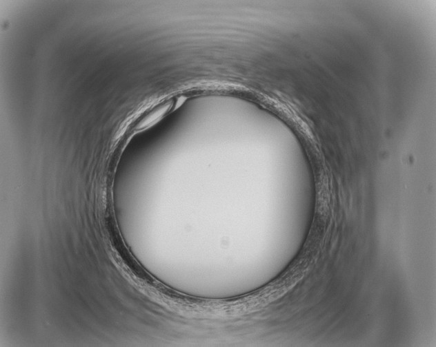 X0000087400015200705111837