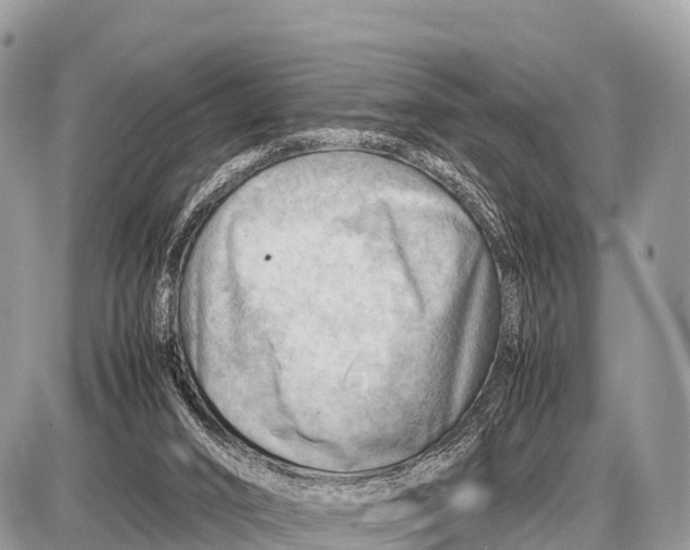 X0000087400016200705111837