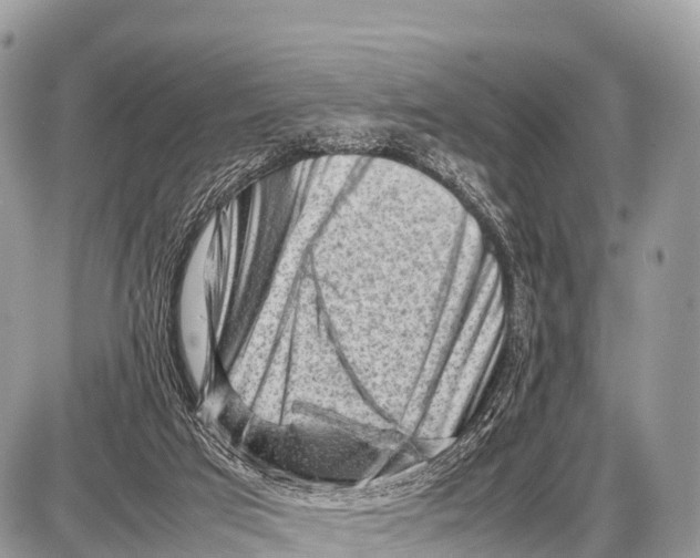 X0000087400017200705111837