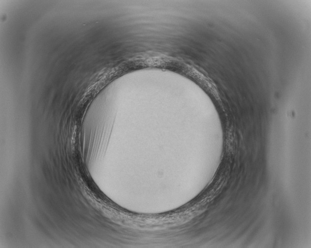 X0000087400018200705111837