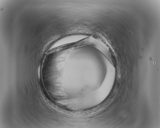 X0000087400019200705111837