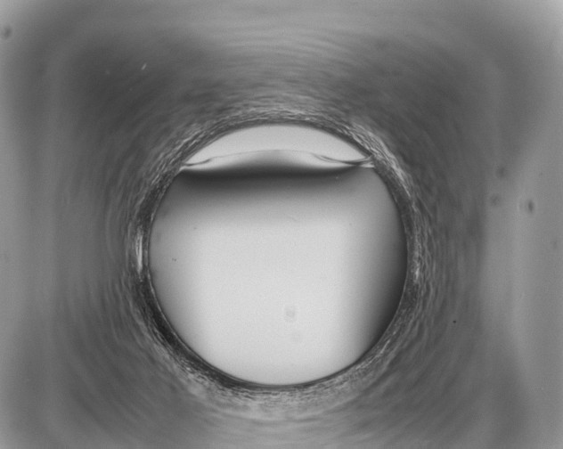 X0000087400021200705111837