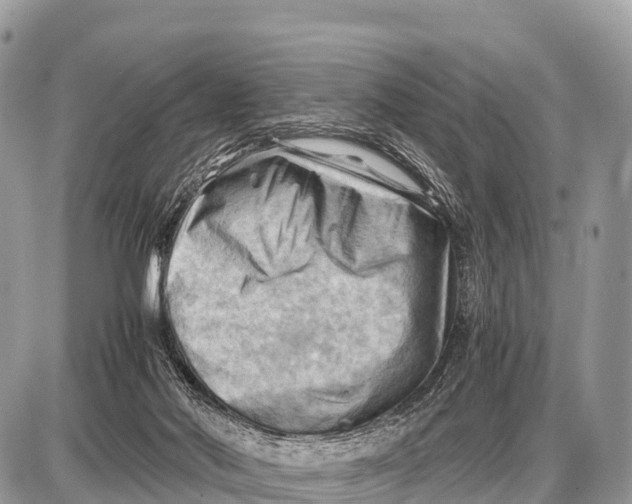 X0000087400022200705111837