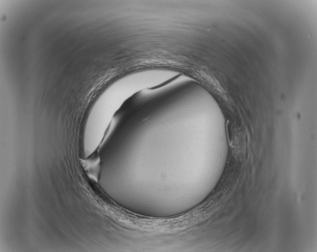 X0000087400023200705111837