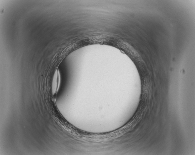 X0000087400025200705111837