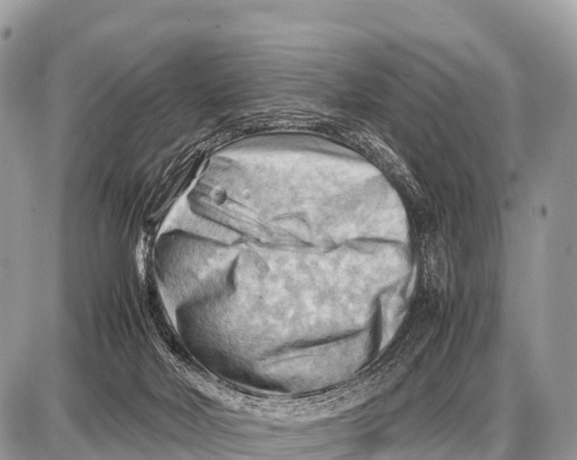 X0000087400026200705111837