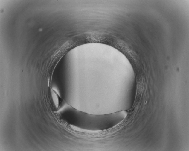 X0000087400027200705111837