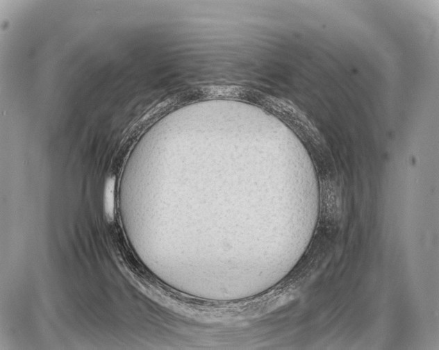 X0000087400028200705111837