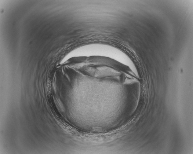 X0000087400029200705111837