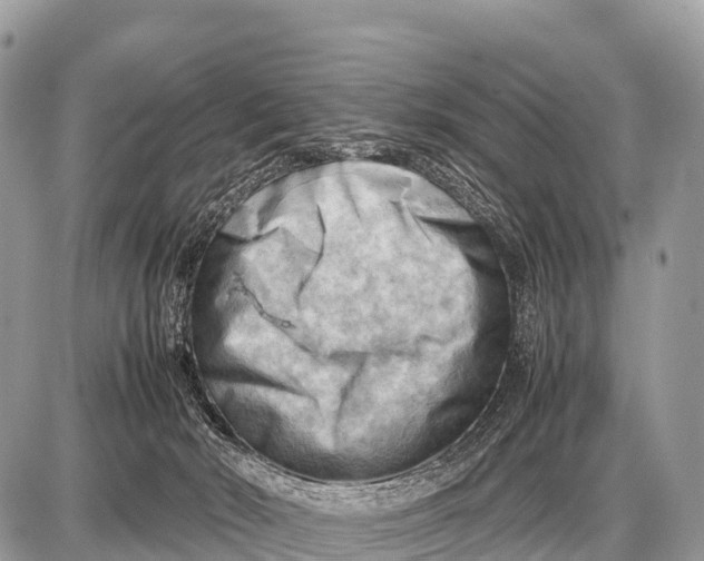 X0000087400030200705111837