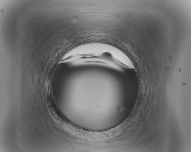 X0000087400031200705111837