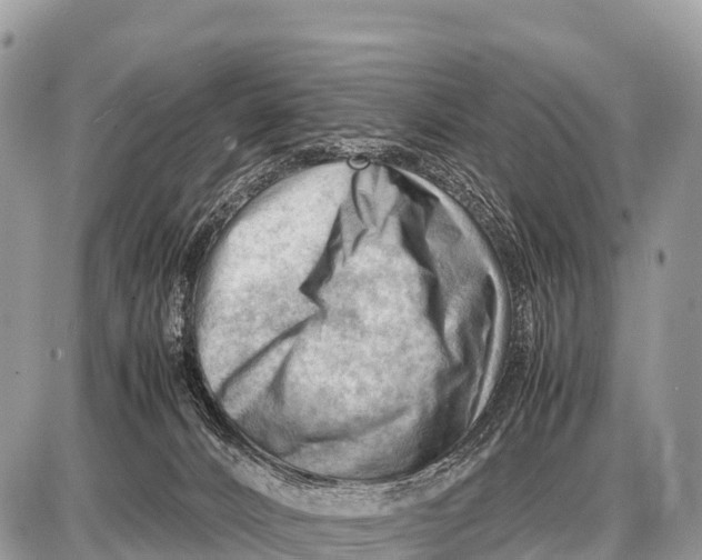 X0000087400032200705111837