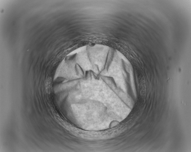 X0000087400034200705111837