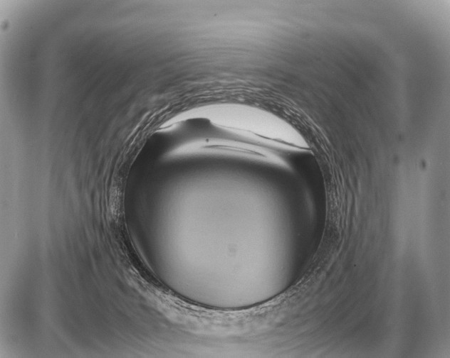 X0000087400035200705111837