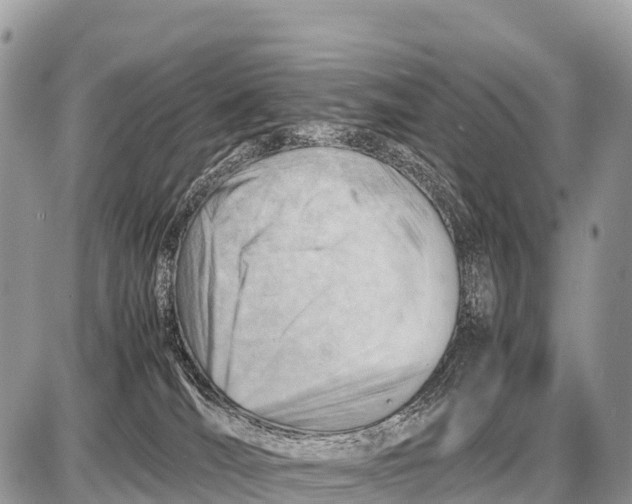 X0000087400036200705111837