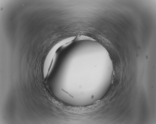 X0000087400037200705111837