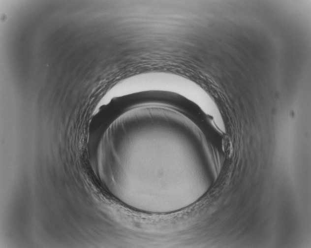 X0000087400039200705111837