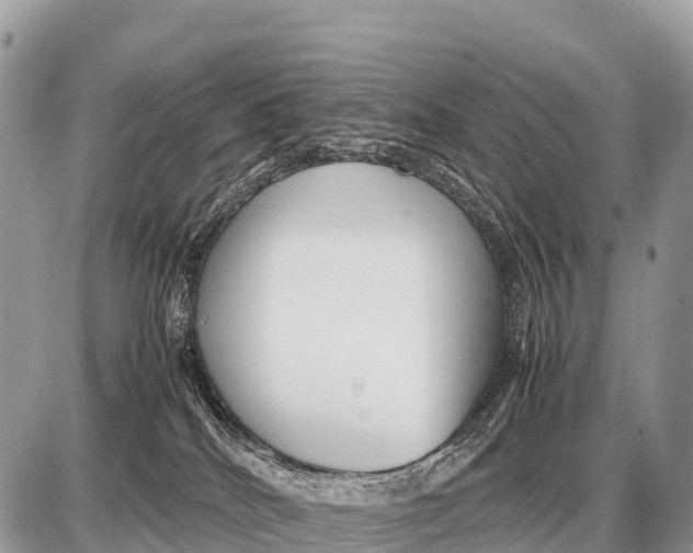 X0000087400040200705111837