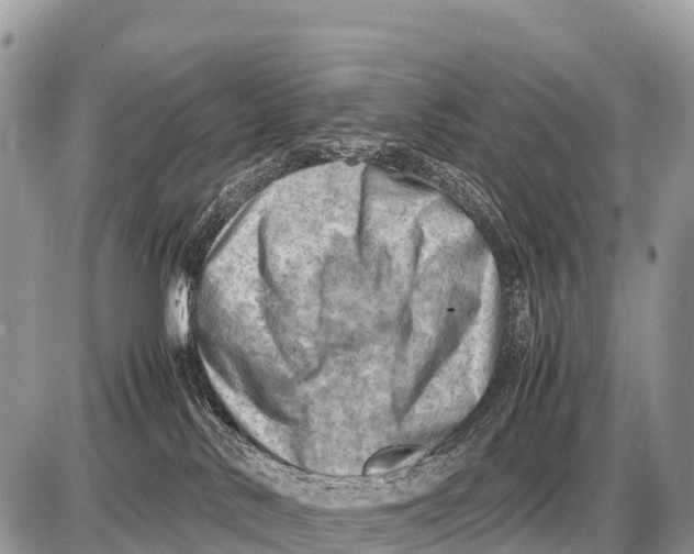 X0000087400042200705111837