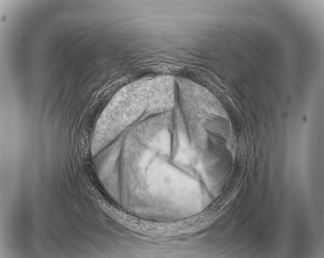 X0000087400043200705111837