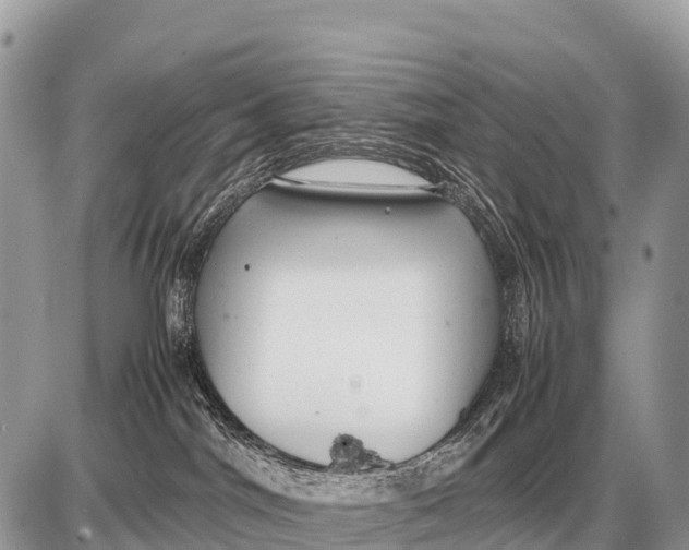 X0000087400044200705111837