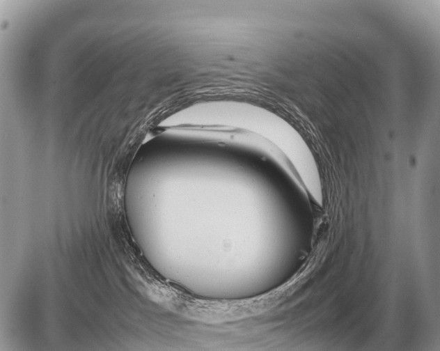 X0000087400045200705111836