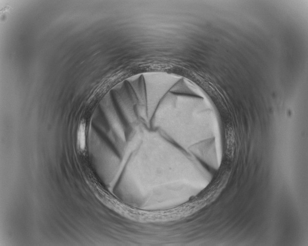 X0000087400046200705111836