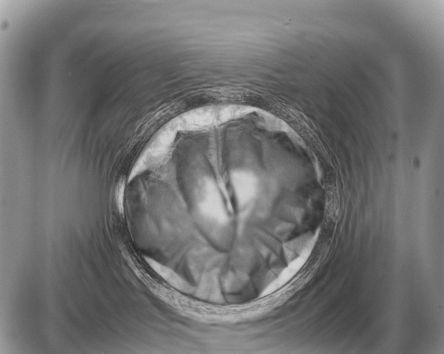 X0000087400047200705111836