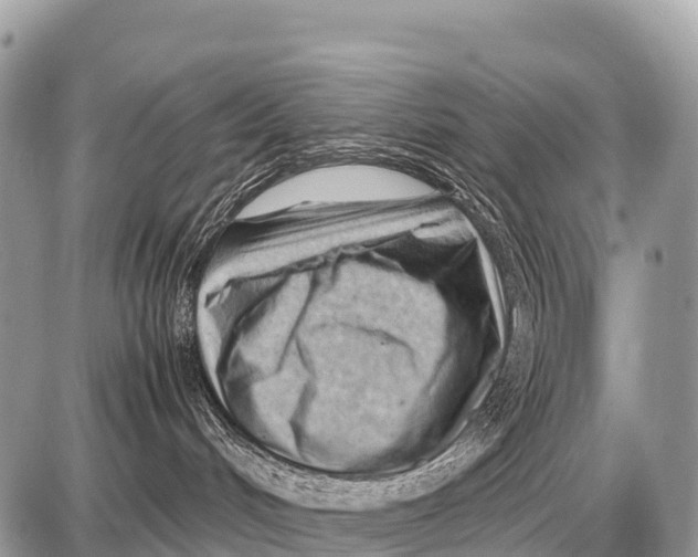 X0000087400048200705111836