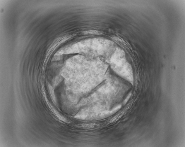 X0000087400049200705111836