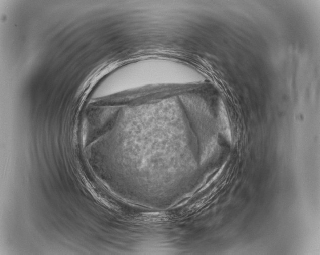 X0000087400050200705111836