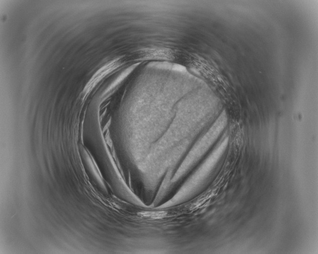 X0000087400051200705111836